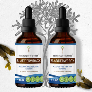 Secrets Of The Tribe Bladderwrack Tincture buy online 