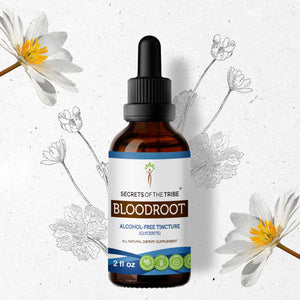 Secrets Of The Tribe Bloodroot Tincture buy online 