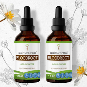 Secrets Of The Tribe Bloodroot Tincture buy online 