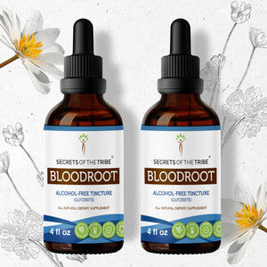 Secrets Of The Tribe Bloodroot Tincture buy online 