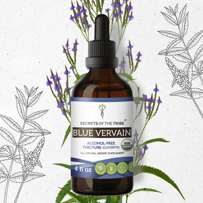 Blue Vervain Tincture Secrets Of The Tribe Tincture Secrets Of The Tribe