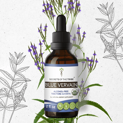 Blue Vervain Tincture Secrets Of The Tribe Tincture Secrets Of The Tribe