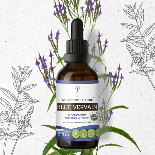 Secrets Of The Tribe Blue Vervain Tincture buy online 