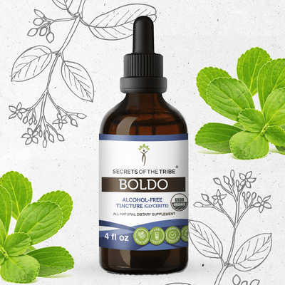 Boldo Tincture Secrets Of The Tribe Tincture Secrets Of The Tribe