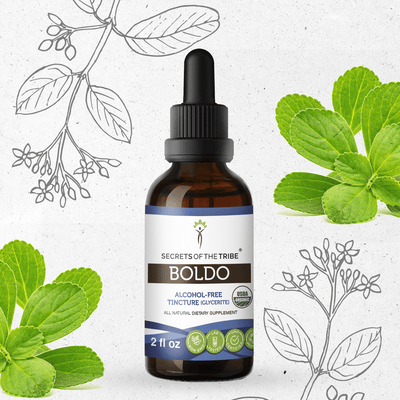 Boldo Tincture Secrets Of The Tribe Tincture Secrets Of The Tribe