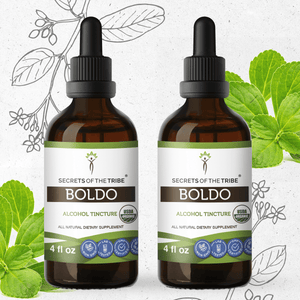 Secrets Of The Tribe Boldo Tincture buy online 