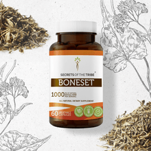 Load image into Gallery viewer, Secrets Of The Tribe Boneset Capsules buy online 
