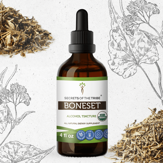 Secrets Of The Tribe Boneset Tincture buy online 