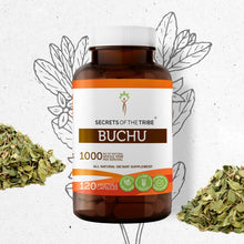 Load image into Gallery viewer, Secrets Of The Tribe Buchu Capsules buy online 