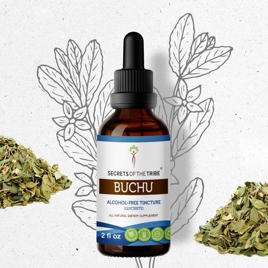 Secrets Of The Tribe Buchu Tincture buy online 