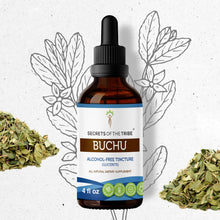 Load image into Gallery viewer, Secrets Of The Tribe Buchu Tincture buy online 