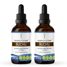 Load image into Gallery viewer, Secrets Of The Tribe Buchu Tincture buy online 
