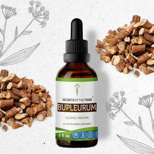 Secrets Of The Tribe Bupleurum Tincture buy online 