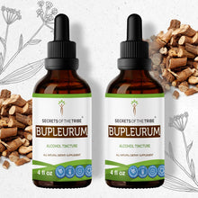 Load image into Gallery viewer, Secrets Of The Tribe Bupleurum Tincture buy online 