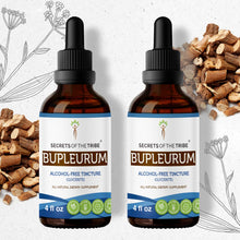 Load image into Gallery viewer, Secrets Of The Tribe Bupleurum Tincture buy online 