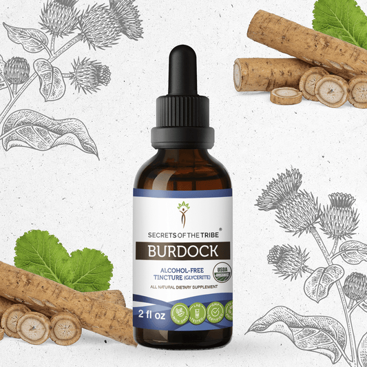 Secrets Of The Tribe Burdock Tincture buy online 