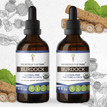 Load image into Gallery viewer, Secrets Of The Tribe Burdock Tincture buy online 