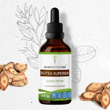 Load image into Gallery viewer, Secrets Of The Tribe Butea Superba Tincture buy online 