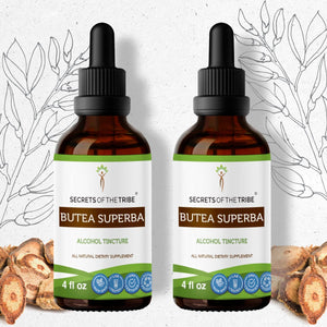 Secrets Of The Tribe Butea Superba Tincture buy online 