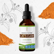 Load image into Gallery viewer, Secrets Of The Tribe Cat&#39;s Claw Tincture buy online 