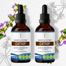 Load image into Gallery viewer, Secrets Of The Tribe Catnip Tincture buy online 