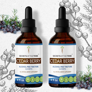 Secrets Of The Tribe Cedar Berry Tincture buy online 