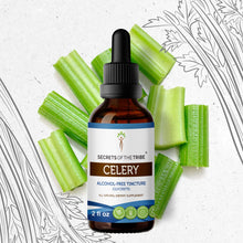 Load image into Gallery viewer, Secrets Of The Tribe Celery Tincture buy online 