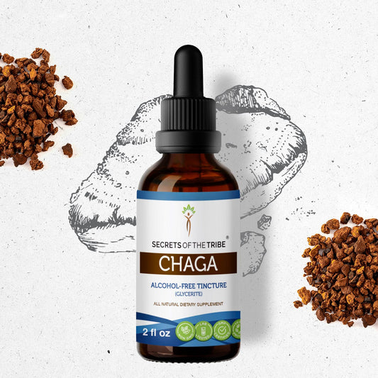 Secrets Of The Tribe Chaga Tincture buy online 