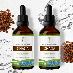 Secrets Of The Tribe Chaga Tincture buy online 