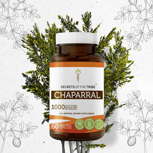 Secrets Of The Tribe Chaparral Capsules buy online 