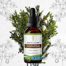 Load image into Gallery viewer, Secrets Of The Tribe Chaparral Tincture buy online 