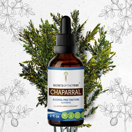 Secrets Of The Tribe Chaparral Tincture buy online 