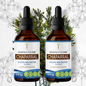 Secrets Of The Tribe Chaparral Tincture buy online 