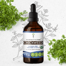Load image into Gallery viewer, Secrets Of The Tribe Chickweed Tincture buy online 