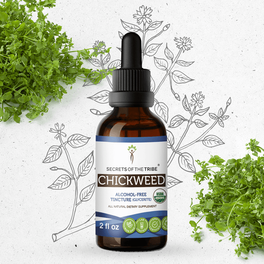 Secrets Of The Tribe Chickweed Tincture buy online 