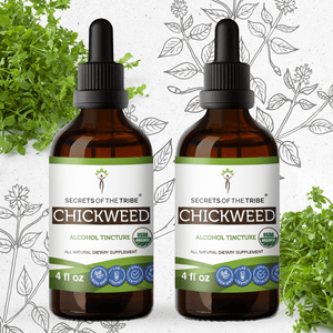 Secrets Of The Tribe Chickweed Tincture buy online 