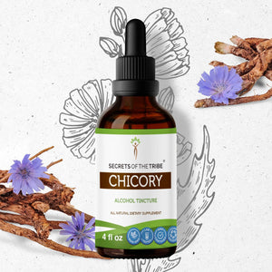 Secrets Of The Tribe Chicory Tincture buy online 