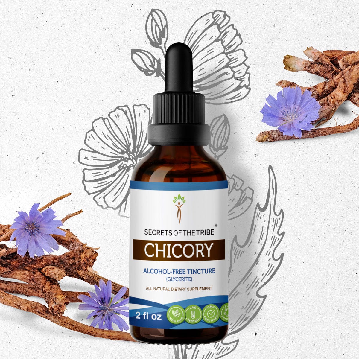 Chicory Tincture