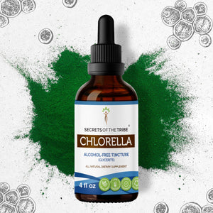 Secrets Of The Tribe Chlorella Tincture buy online 