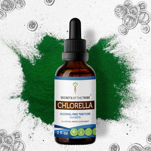 Secrets Of The Tribe Chlorella Tincture buy online 