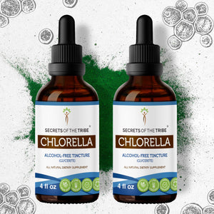 Secrets Of The Tribe Chlorella Tincture buy online 