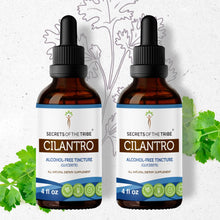 Load image into Gallery viewer, Secrets Of The Tribe Cilantro Tincture buy online 