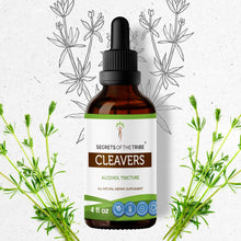Load image into Gallery viewer, Secrets Of The Tribe Cleavers Tincture buy online 