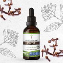 Load image into Gallery viewer, Secrets Of The Tribe Clove Tincture buy online 