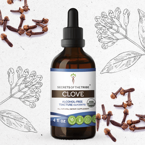 Secrets Of The Tribe Clove Tincture buy online 