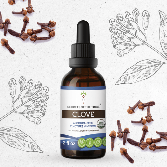 Secrets Of The Tribe Clove Tincture buy online 