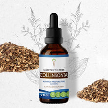 Load image into Gallery viewer, Secrets Of The Tribe Collinsonia Tincture buy online 