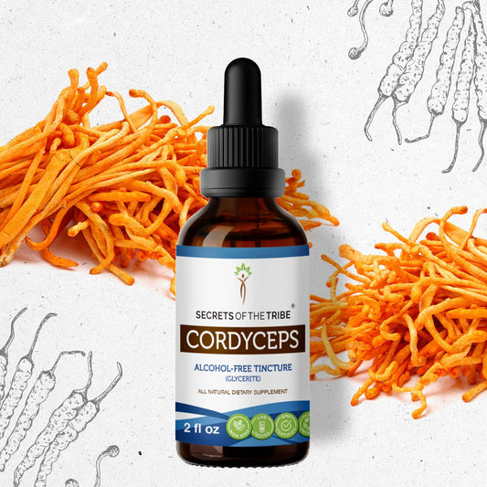 Secrets Of The Tribe Cordyceps Tincture buy online 