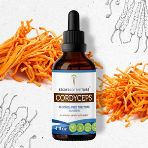 Secrets Of The Tribe Cordyceps Tincture buy online 