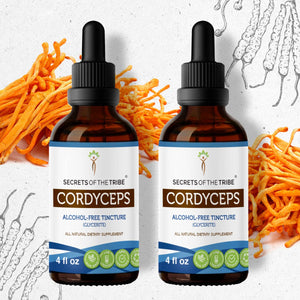 Secrets Of The Tribe Cordyceps Tincture buy online 